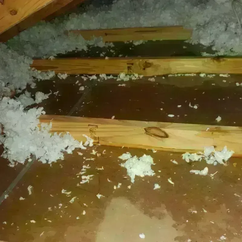 Attic Water Damage in Tacoma, WA