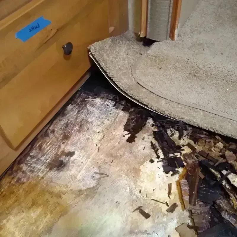 Wood Floor Water Damage in Tacoma, WA